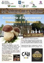 34° SAGRA DEI FUNGHI 12 OTTOBRE 2025 GAMBARIE D' ASPROMONTE